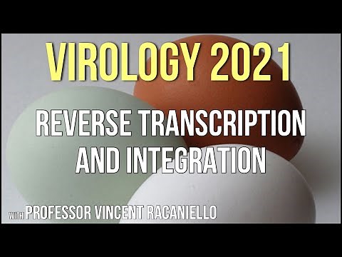 Virology Lectures 2021 #9 - Reverse Transcription and Integration