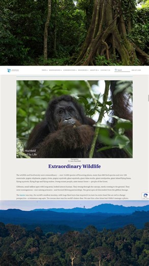 What’s it like to trek through one of the planet’s wildest jungles?