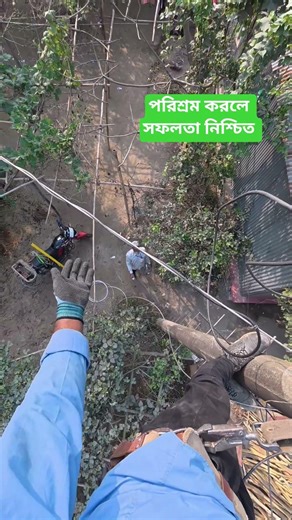 পরিশ্রম করলে সফলতা নিশ্চিত