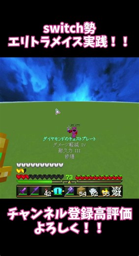 エリトラメイス２実践！！
