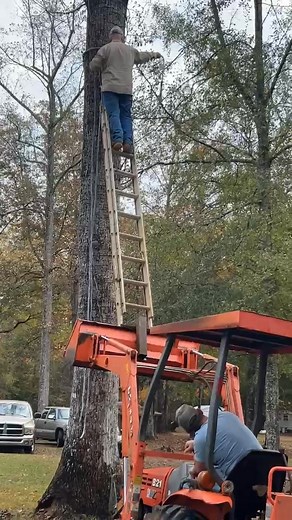 I finally got the supervisor job I’ve been wanting, and now I’m already on a skip level write up…. They giving me one more chance yall 😜😊 | Jessica Lynne