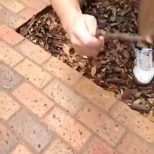 151K views · 7.8K reactions | The Magic Begins! ⚡️ #HarryPotter20 | Thomas Sanders | Facebook