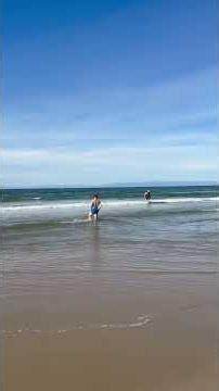 몬터레이 State Beach에서 보낸 하루 🌊 #몬터레이 #StateBeach A day at Monterey State Beach 🌊#Monterey #StateBeach
