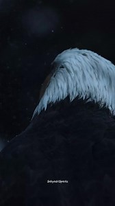 1.5K views · 27 reactions | Soar high like an eagle, let your wings of motivation carry you to new heights." #eagles #eagles #instagram #business #lifequotes #fitness #smile #photography #beautiful #motivationalspeaker #motivate #followforfollowback #quotestoliveby #happy #motivationmonday #writer #follow #motivationalquote #nevergiveup #likeforlikes #selfcare #quotestagram #successmindset #motivationquotes #hustle #viral #sad #words #like | Sahyadri Sparks | Facebook