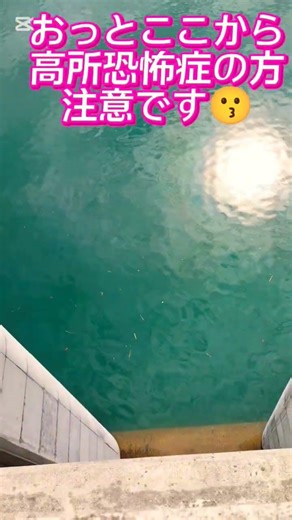 福井県 不謹慎だけど洪水吐を見て…🙄 (河内川ダム)