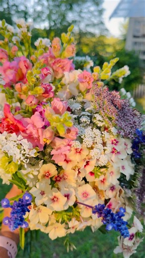 So thankful for another gorgeous planting day! ☀️🌱👩🏻‍🌾 I can’t wait to have loads of these beautiful spring flowers to create with again next season! 🌸💐 #flowerfarm #springflowers #flowergarden #fallplanting #flowerchickfarm | Flower Chick Farm