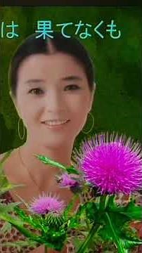 あざみのうた - 倍賞千恵子(Azami No Uta - Chieko Baisho ‧ 2003) J-Pop 日本の歌