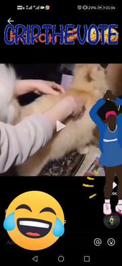 Cat says the N Word?!?? 💙😭 #Kallitklong #fyp