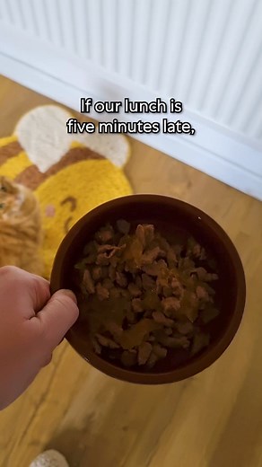 Mars Associate pets live life to 150% from the very beginning! ⭐️ Learn more about our commitment to create A BETTER WORLD FOR PETS and how pets are a fundamental part of our workplace culture:🔗 https://www.mars.com/our-brands/petcare #RealPetsOfMars | Mars, Incorporated