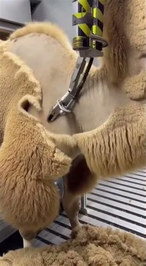 The 10-Second Robo-Sheave