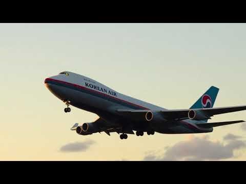 5 Pilot Errors That Rewrote the Aviation Safety Manual