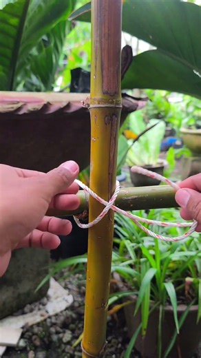 This Garden Knot Will Save Your Time! (Easy & Strong)