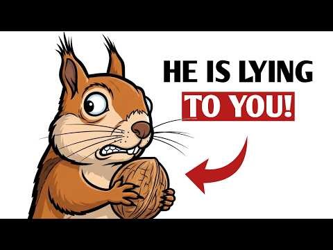 Why You Should Never Trust a Squirrel | the psychology of squirrel