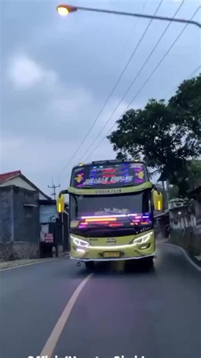 Juragan Empang: Exploring Unique Bus Experiences