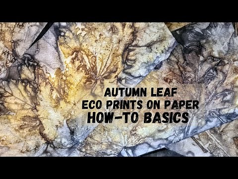 Eco Print Basics: Autumn Leaves on Paper