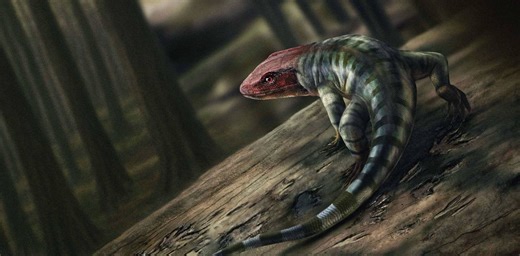 Two lizard-like creatures crossed tracks 355 million years ago. Today, their footprints yield a major discovery