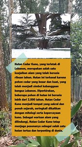 Keajaiban Abadi: Hutan Cedar Kuno, Simbol Keagungan Alam Lebanon #HutanCedarKuno #CedarLebanon #KeajaibanAlam #WarisanDunia #HutanBersejarah #SimbolLebanon #WisataAlam #PelestarianAlam #MitologiLebanon #virtualbrowsing | Virtual browsing