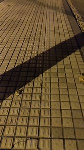 《仿若微光》 《晓之车》走路清唱。《听完上海场lino晓之车belike》不知道是第几个星期没有走过这条野K之路了，今天算是彻底休息了一天，那么，明天再…