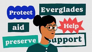 16K views · 199 reactions | Despite alligators ruling the swamplands of the Everglades for millennia, the last 500 years have brought deadly new predators that challenge their reign. So, who are the invaders threatening this unique region? | TED-Ed | Facebook