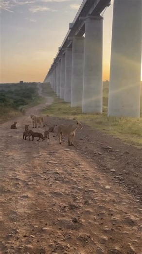 2.3K views · 21 reactions |  Nairobi National Park, Kenya  Join...
