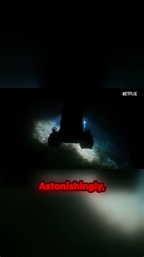 Forget the shallows! These deep-sea reefs are HUGE.