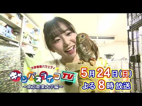 Nene Shida conducts a thorough investigation of universities! Campus Life TV ~Tokyo University of...