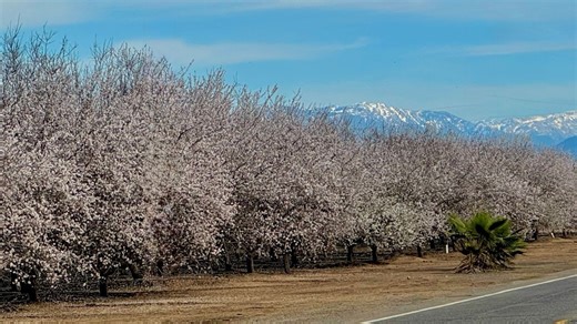 Weekend temperatures March upwards, plus how is our rain season doing?