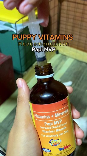 Puppy Vitamins Recommendation for Healthier Pups