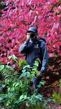 Stop Using the Self-Timer! 🛑 Try Remote Shutter Control