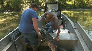 The hunters turn to old swamp tricks during the full moon. | Swamp People on History