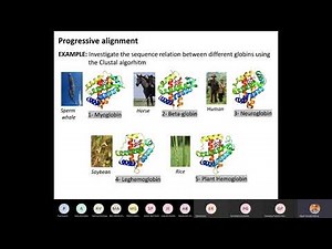 Multiple Sequence Alignment (MSA)