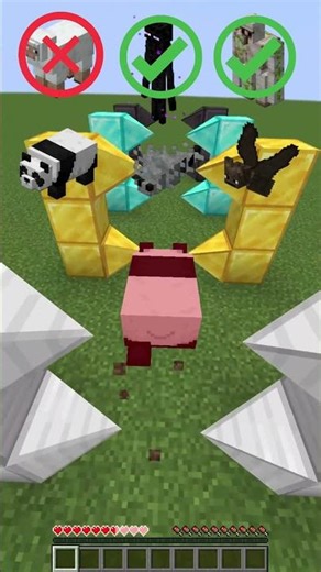 Minecraft Mob Test ! #minecraft #minecraftshorts #minecraftmemes #mobbattle
