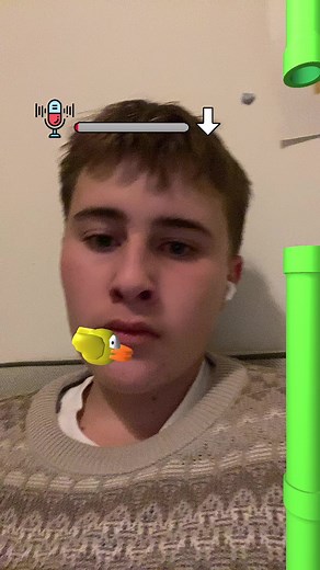 Flappy Bird Filter Challenge: Mom Reacts to Original Bird Filter
