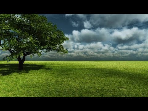 Smucker Sponge Gun Product Video