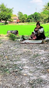 Mom ask Icy to bring the orange to mom #monkey #animals #animallover #monkeylove #baby | Monkey Loader