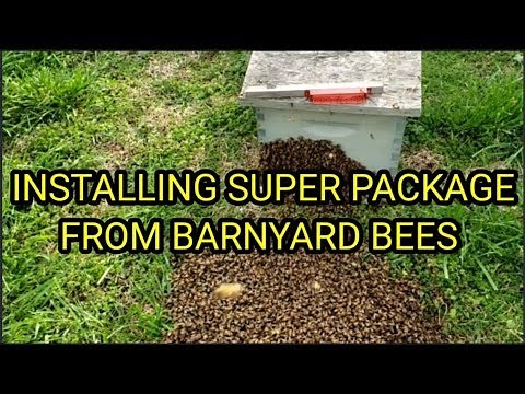 How To Install Barnyard Bees Super Package