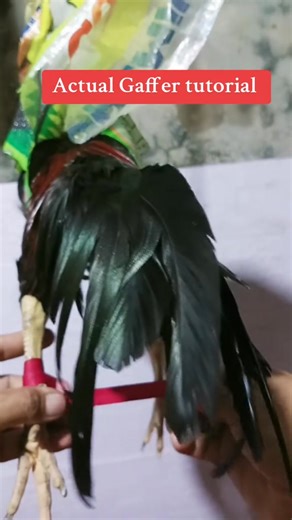 1.4K reactions · 69 shares | Full tutorial for Gaffer sa mga Bagohan lang KC Marami na naman mag comment dyan 來 #Gaffertutorial #forbeginners #fbreels #reels #algorithm | Marnel Sarcita Flor | Facebook