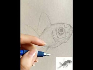 How to Draw a Realistic Fish with Pencil | Step-by-Step Full Process