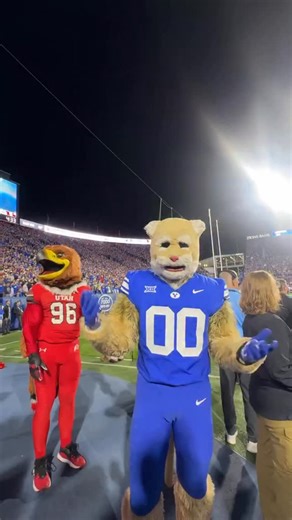 someone had to say it | Cosmo the Cougar