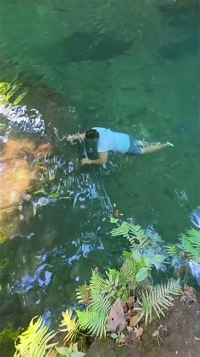 Diving into the clearest water you'll ever see #shorts #nature #adrenaline