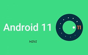 Android 11 mini (bushi