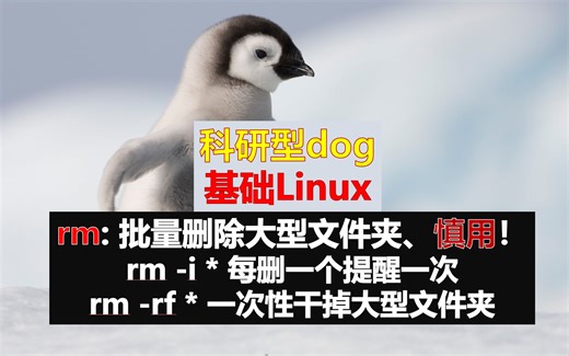 Linux系统基础系列 - rm -  一次性干掉大型文件夹！慎用！慎用！ rm -rf *