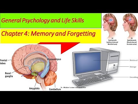 General Psychology Chapter 4 Memory and Forgetting