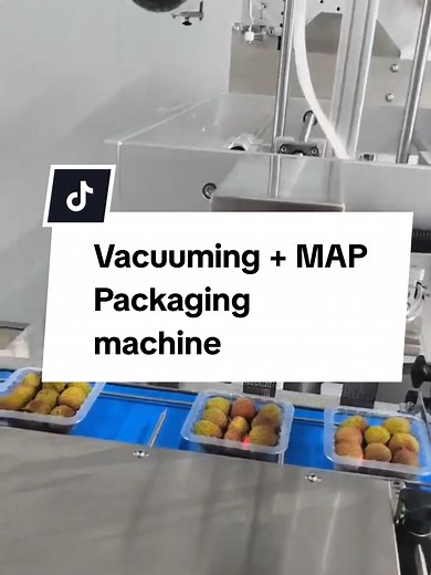 Vacuum MAP Packaging Machine for Food | Sealing & Vacuuming