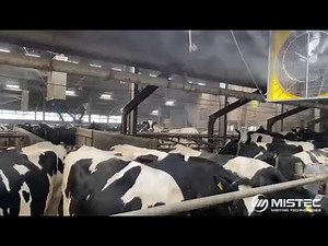 Dairy Farm Cooling - High-Pressure Misting Rings on Large Box Fans (Livestock Cooling)