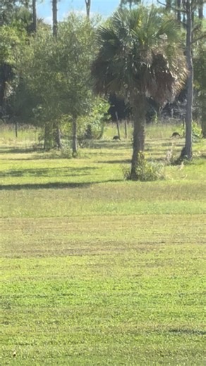 1K views · 19 reactions | Rob Locke on Reels | Facebook