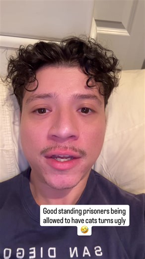 Animal Therapy in Prisons: A Story of Cats and Rehabilitation