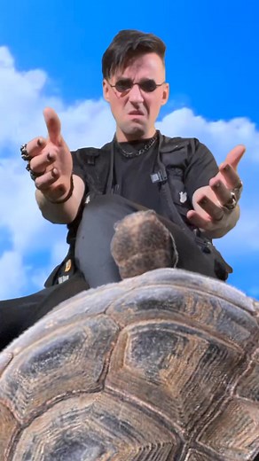 61K views · 346 reactions | Turtle power  | DnB Allstars | Facebook