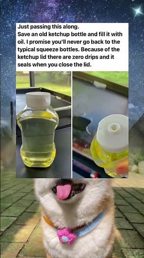 Thieves Hate This Trick: Make Locks Bolt Cutter Proof