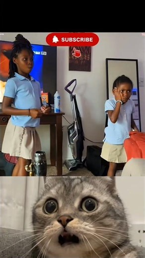 Funny Slap Reaction🤣